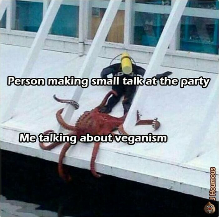 75 Hilarious Vegan Memes That May Change The Way You Look At Meat