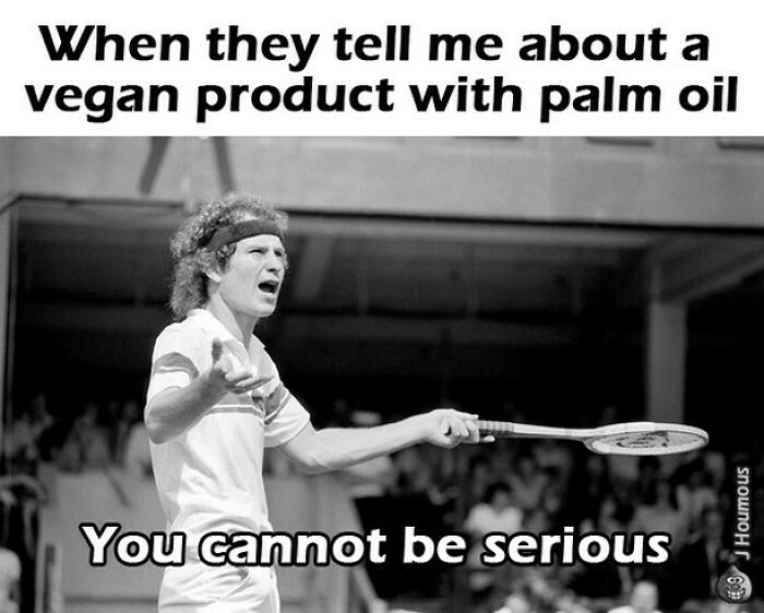75 Hilarious Vegan Memes That May Change The Way You Look At Meat