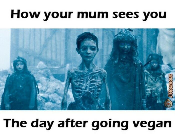 75 Hilarious Vegan Memes That May Change The Way You Look At Meat