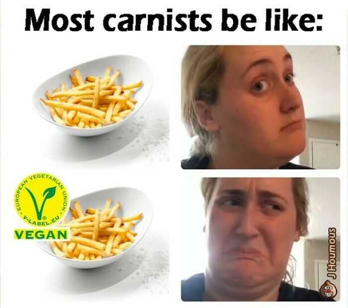 75 Hilarious Vegan Memes That May Change The Way You Look At Meat