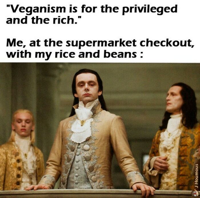 75 Hilarious Vegan Memes That May Change The Way You Look At Meat