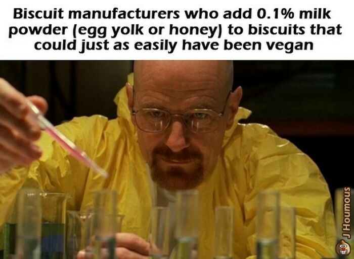 75 Hilarious Vegan Memes That May Change The Way You Look At Meat
