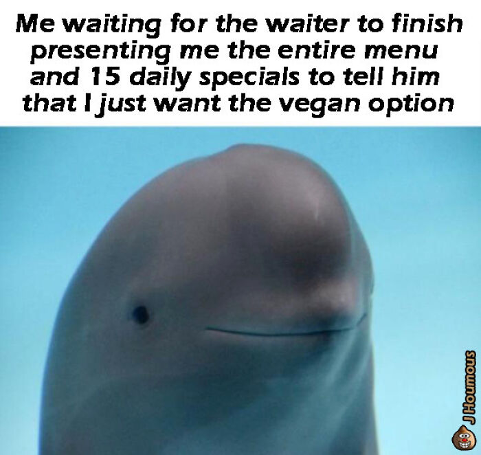 75 Hilarious Vegan Memes That May Change The Way You Look At Meat