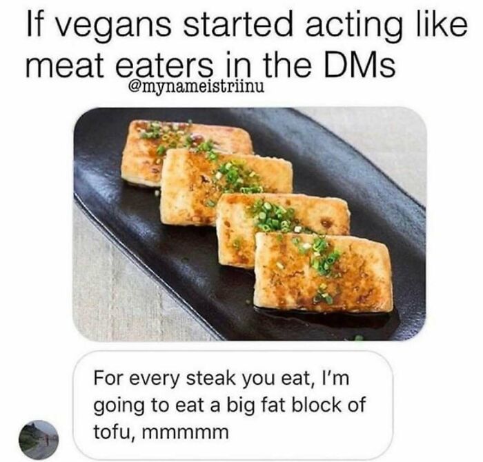 75 Hilarious Vegan Memes That May Change The Way You Look At Meat