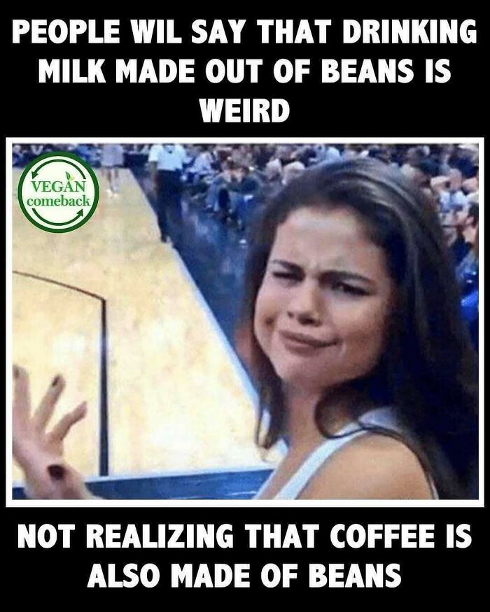 75 Hilarious Vegan Memes That May Change The Way You Look At Meat