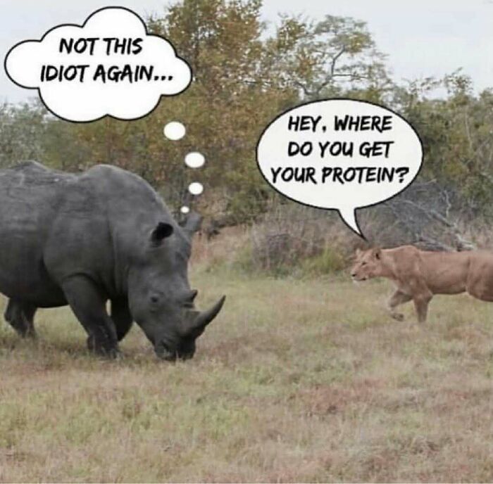 75 Hilarious Vegan Memes That May Change The Way You Look At Meat