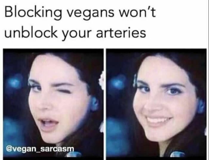 75 Hilarious Vegan Memes That May Change The Way You Look At Meat