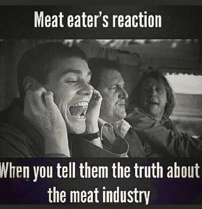 75 Hilarious Vegan Memes That May Change The Way You Look At Meat