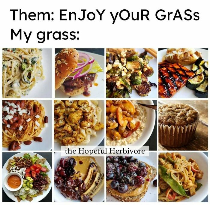 75 Hilarious Vegan Memes That May Change The Way You Look At Meat
