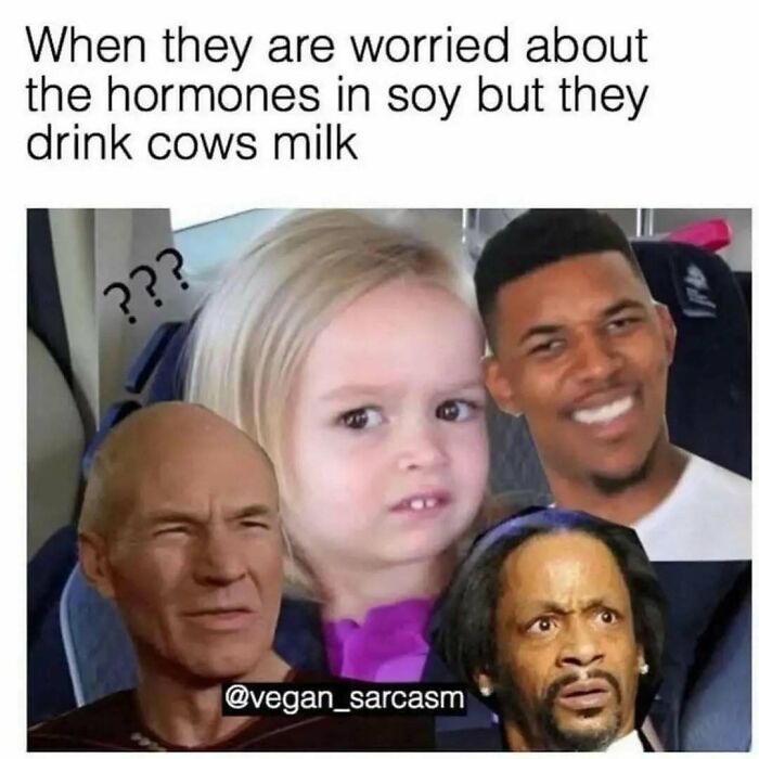 75 Hilarious Vegan Memes That May Change The Way You Look At Meat
