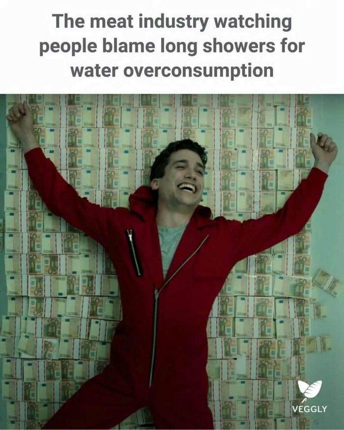 75 Hilarious Vegan Memes That May Change The Way You Look At Meat
