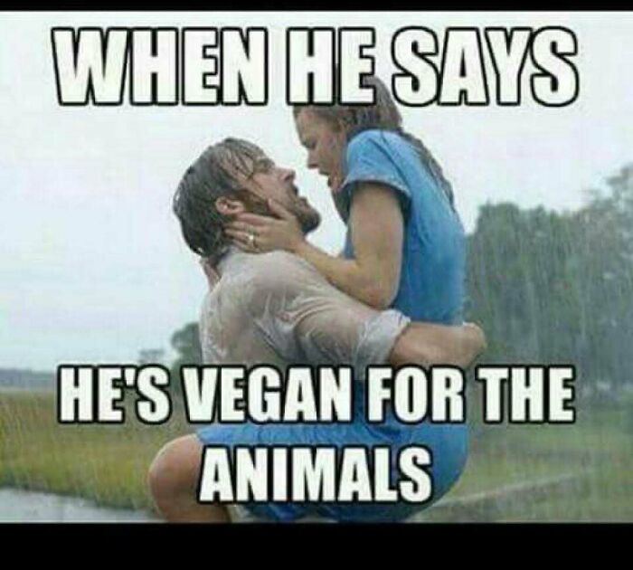 75 Hilarious Vegan Memes That May Change The Way You Look At Meat