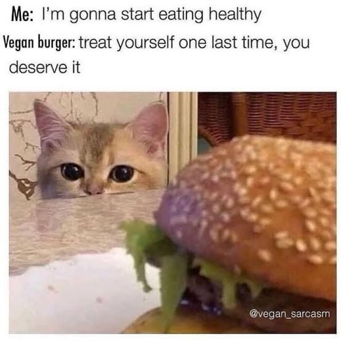 75 Hilarious Vegan Memes That May Change The Way You Look At Meat