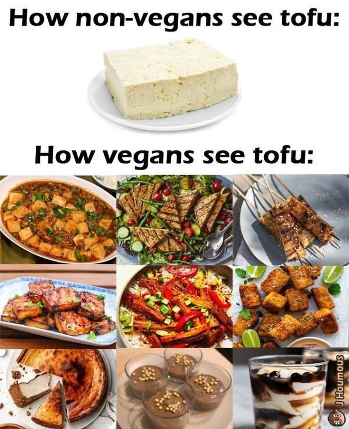 75 Hilarious Vegan Memes That May Change The Way You Look At Meat