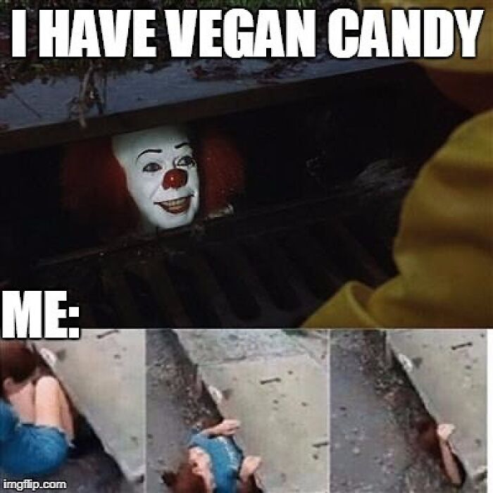 75 Hilarious Vegan Memes That May Change The Way You Look At Meat