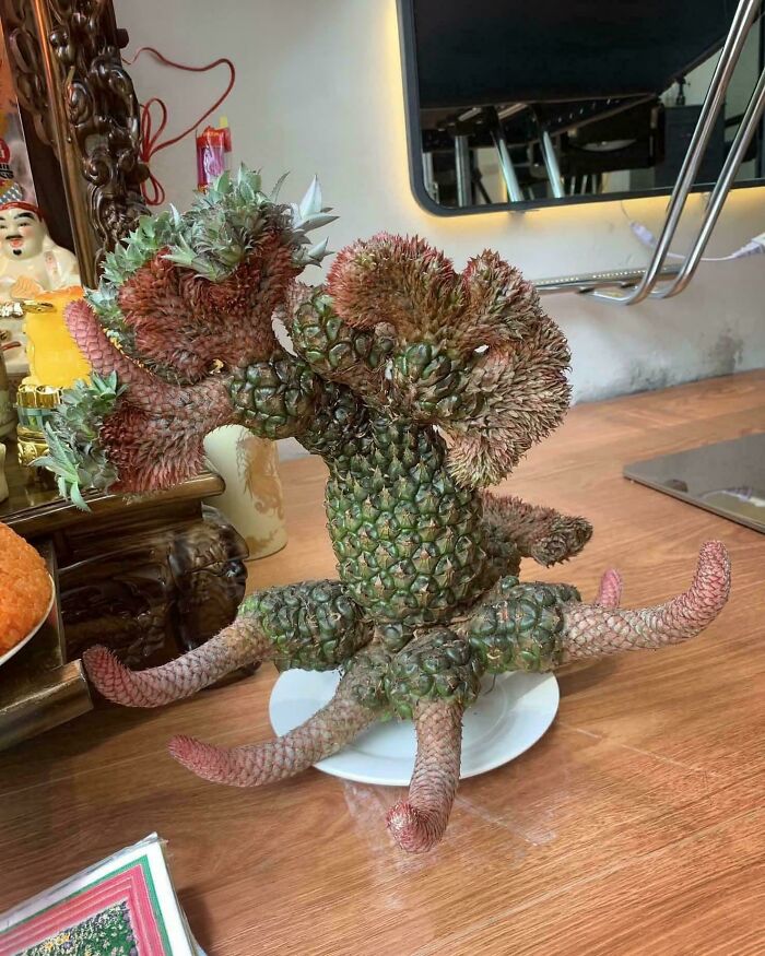 &ldquo;Lookin AI Generated&rdquo;: 100 Times Mother Nature Went Off Script And Created These Freaky Plants