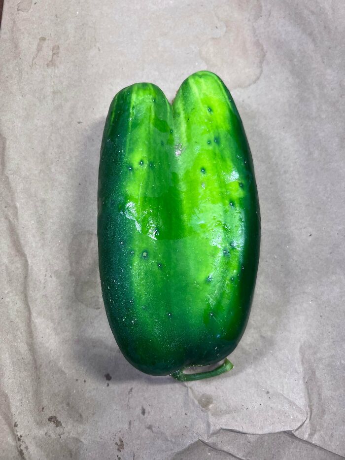 &ldquo;Lookin AI Generated&rdquo;: 100 Times Mother Nature Went Off Script And Created These Freaky Plants