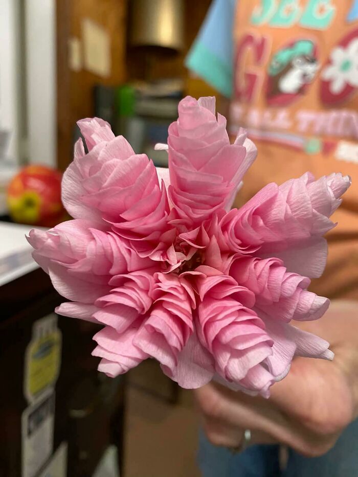 &ldquo;Lookin AI Generated&rdquo;: 100 Times Mother Nature Went Off Script And Created These Freaky Plants