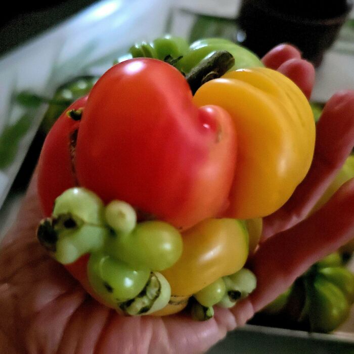 &ldquo;Lookin AI Generated&rdquo;: 100 Times Mother Nature Went Off Script And Created These Freaky Plants