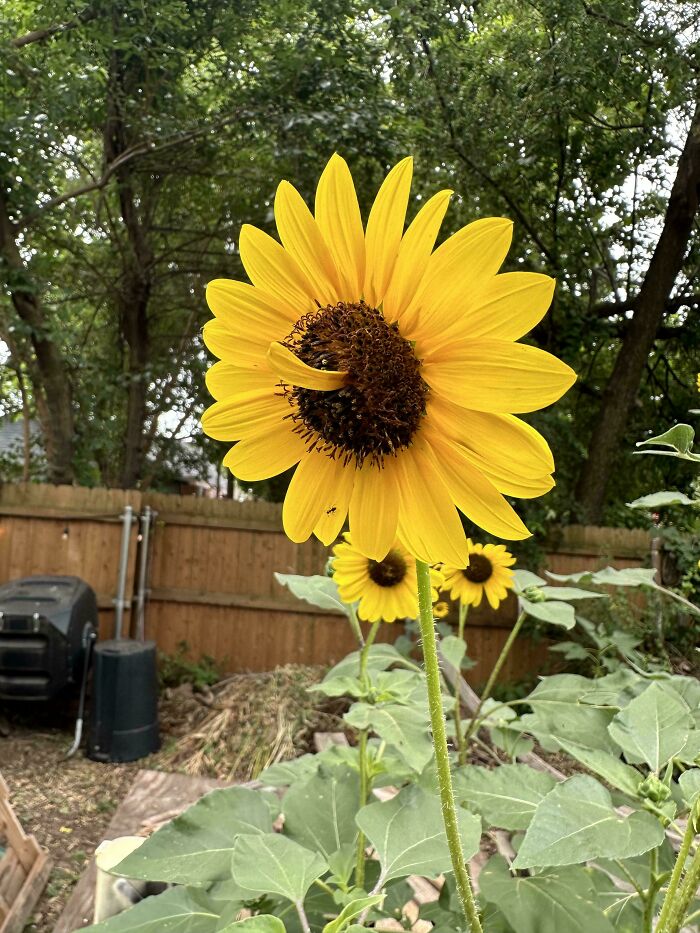 &ldquo;Lookin AI Generated&rdquo;: 100 Times Mother Nature Went Off Script And Created These Freaky Plants