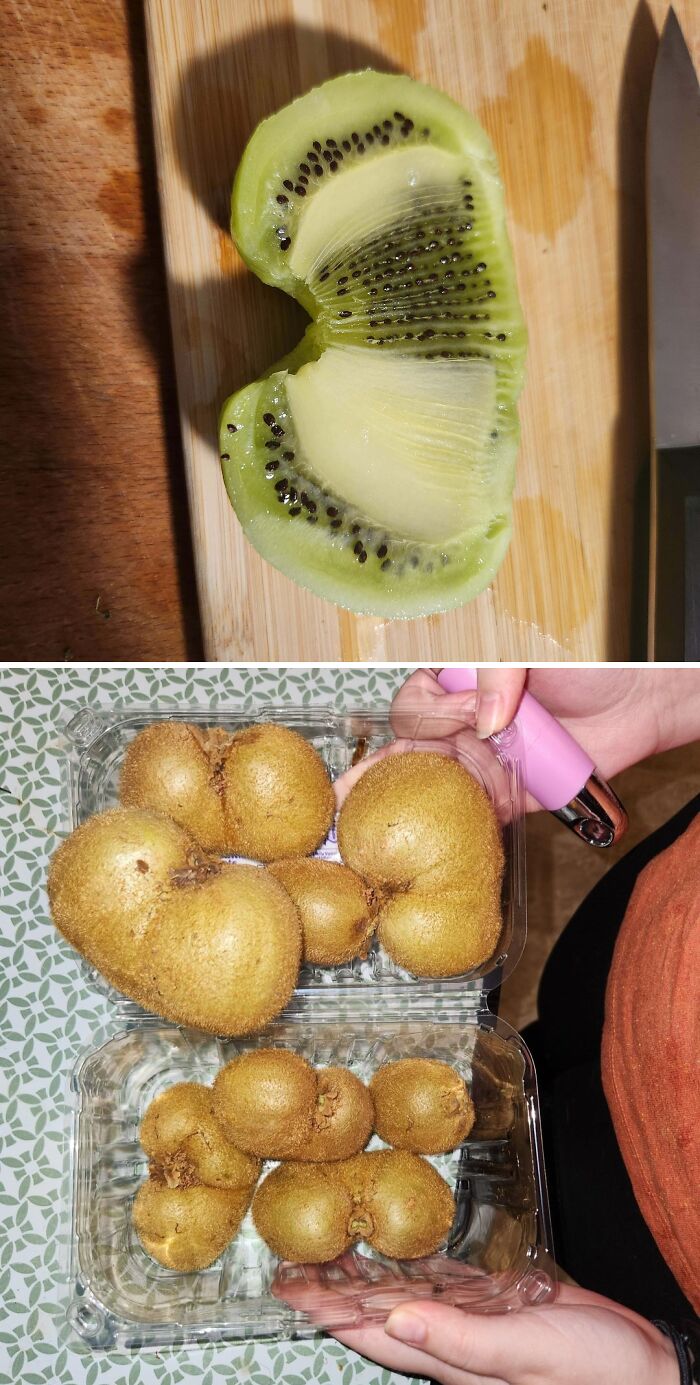 &ldquo;Lookin AI Generated&rdquo;: 100 Times Mother Nature Went Off Script And Created These Freaky Plants