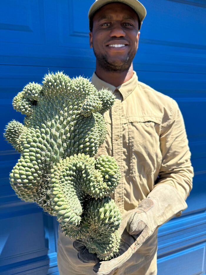 &ldquo;Lookin AI Generated&rdquo;: 100 Times Mother Nature Went Off Script And Created These Freaky Plants