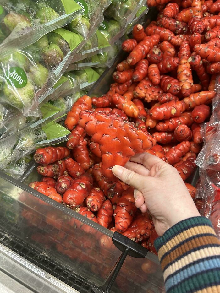 &ldquo;Lookin AI Generated&rdquo;: 100 Times Mother Nature Went Off Script And Created These Freaky Plants