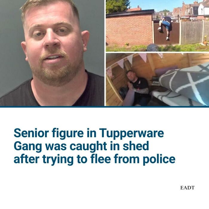 56 Truly Captivating Local Newspaper Headlines That Are So Ridiculous (New Pics)