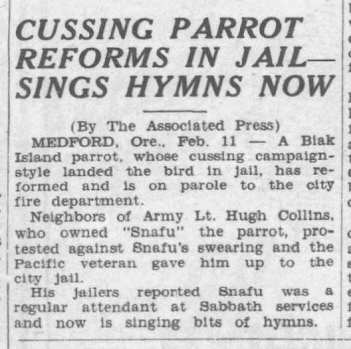 56 Truly Captivating Local Newspaper Headlines That Are So Ridiculous (New Pics)