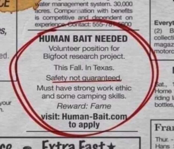 56 Truly Captivating Local Newspaper Headlines That Are So Ridiculous (New Pics)