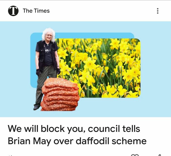 56 Truly Captivating Local Newspaper Headlines That Are So Ridiculous (New Pics)