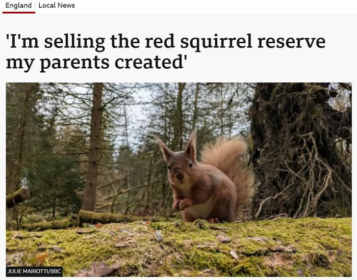 56 Truly Captivating Local Newspaper Headlines That Are So Ridiculous (New Pics)