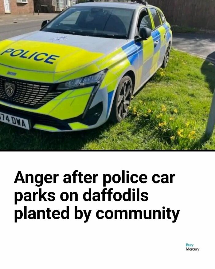 56 Truly Captivating Local Newspaper Headlines That Are So Ridiculous (New Pics)