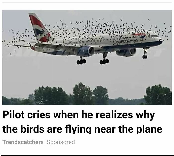 56 Truly Captivating Local Newspaper Headlines That Are So Ridiculous (New Pics)