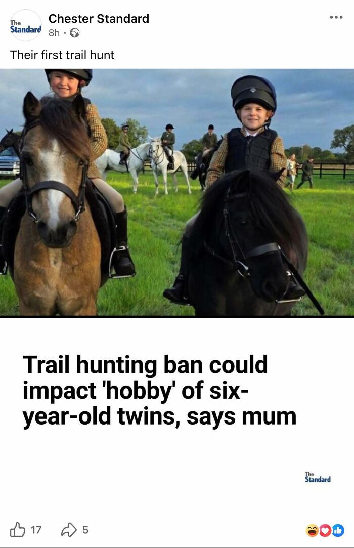 56 Truly Captivating Local Newspaper Headlines That Are So Ridiculous (New Pics)