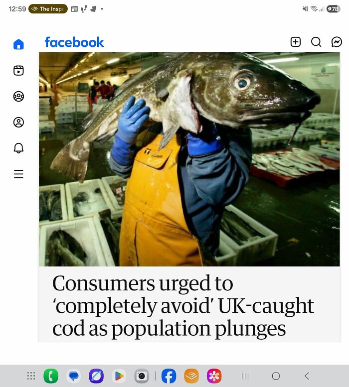 56 Truly Captivating Local Newspaper Headlines That Are So Ridiculous (New Pics)