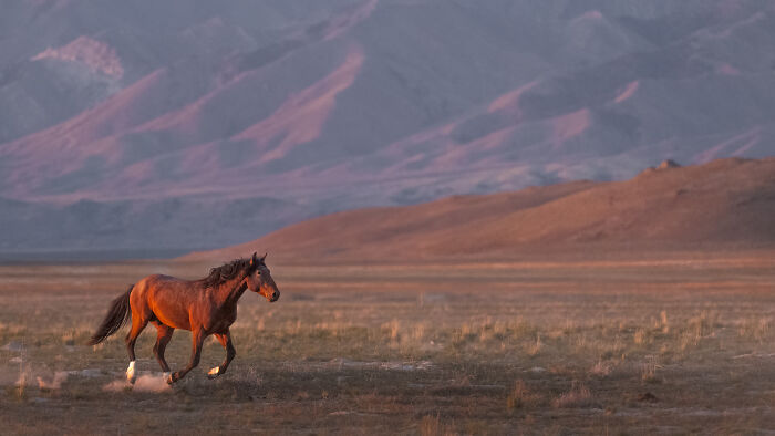 25 Winning Photos From The Artist Gallery&rsquo;s 2026 Landscape Contest That Capture Nature At Its Most Stunning