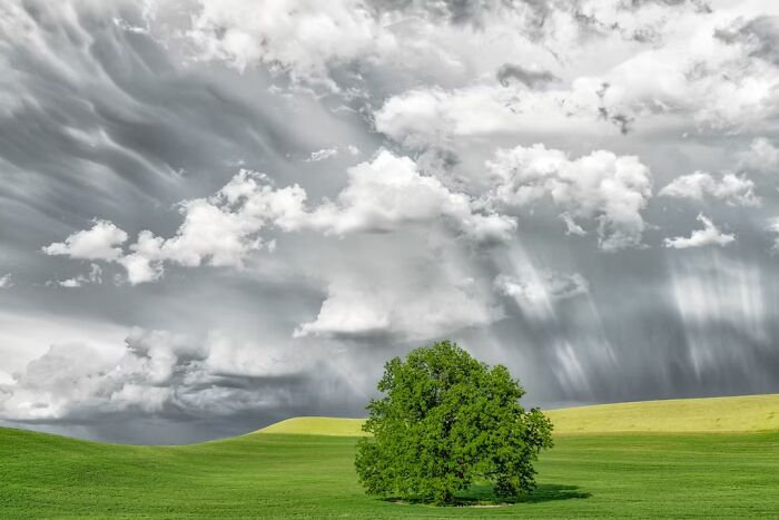 25 Winning Photos From The Artist Gallery&rsquo;s 2026 Landscape Contest That Capture Nature At Its Most Stunning