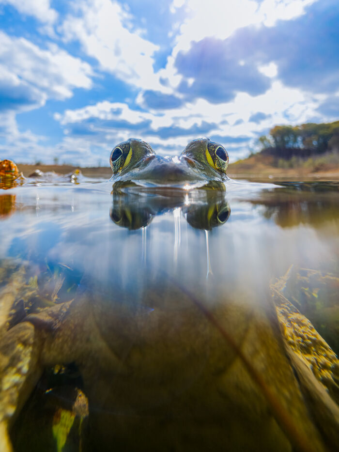 This Photographer&rsquo;s 27 Wildlife Photos Taken With A Smartphone Almost Look Too Detailed To Be Real