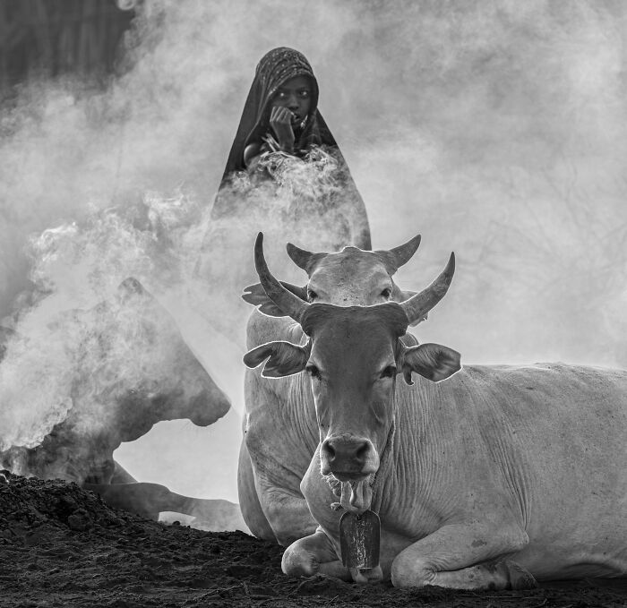 These Are The Best Animal Photos From The 2026 One Shot Photo Contest, And They&rsquo;re Absolutely Stunning (22 Pics)