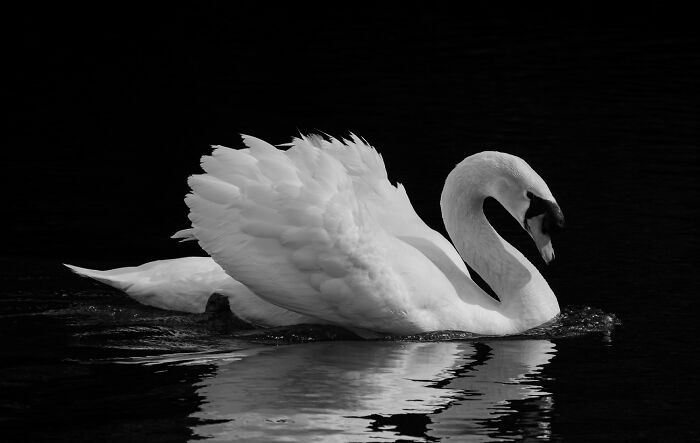 These Are The Best Animal Photos From The 2026 One Shot Photo Contest, And They&rsquo;re Absolutely Stunning (22 Pics)