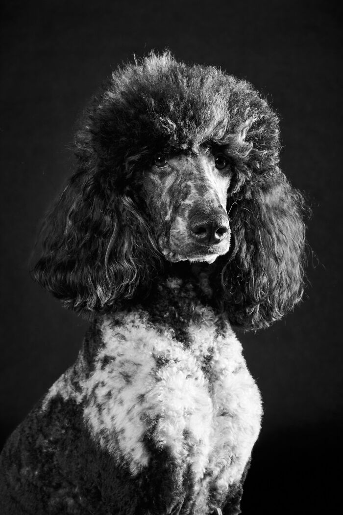 These Are The Best Animal Photos From The 2026 One Shot Photo Contest, And They&rsquo;re Absolutely Stunning (22 Pics)
