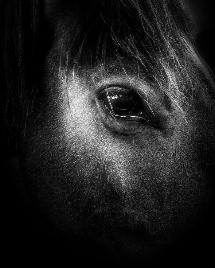 These Are The Best Animal Photos From The 2026 One Shot Photo Contest, And They&rsquo;re Absolutely Stunning (22 Pics)