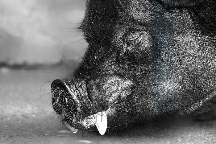These Are The Best Animal Photos From The 2026 One Shot Photo Contest, And They&rsquo;re Absolutely Stunning (22 Pics)