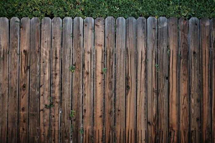 34 True Stories About Neighbors From Hell Making Every Single Day A Hassle