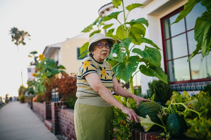 34 True Stories About Neighbors From Hell Making Every Single Day A Hassle
