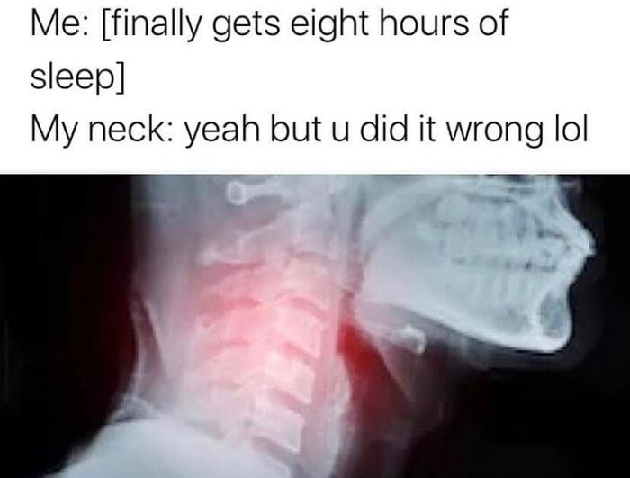 85 Funny Memes To Give Your Brain A Well-Deserved Mini Vacation