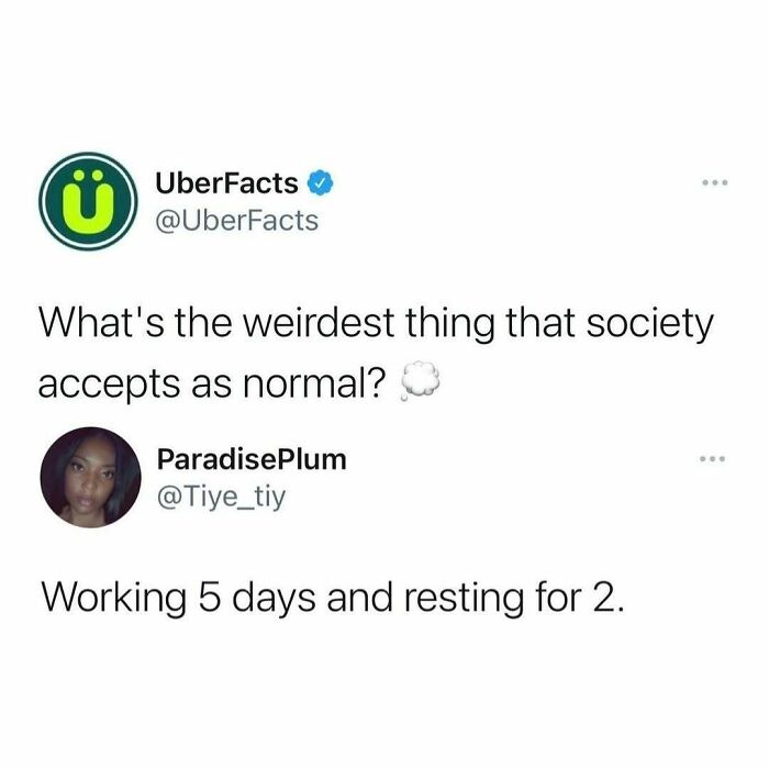 85 Funny Memes To Give Your Brain A Well-Deserved Mini Vacation