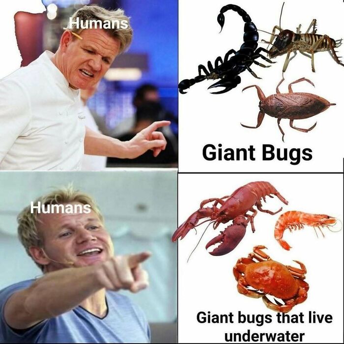 85 Funny Memes To Give Your Brain A Well-Deserved Mini Vacation