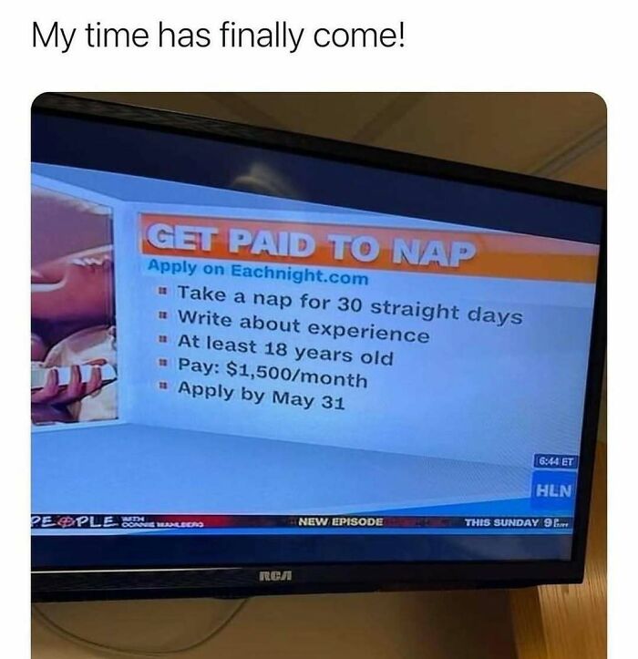 85 Funny Memes To Give Your Brain A Well-Deserved Mini Vacation